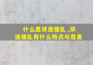 什么是球迷骚乱 ,球迷骚乱有什么特点与危害